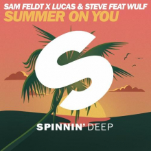 Sam Feldt – Summer On You